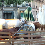 L'agriculture sur les Champs Elysées